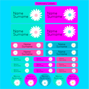 Daisy Primary School Label Combo