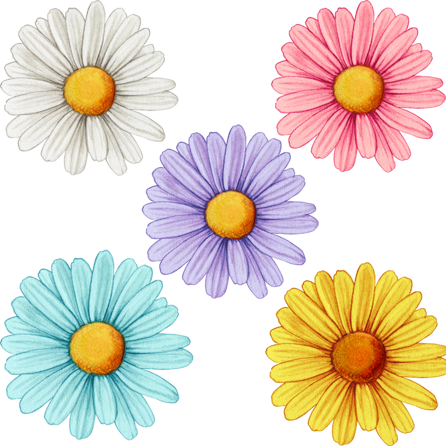 Watercolour Daisies Wall Stickers