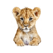 Watercolour Lion Wall Stickers