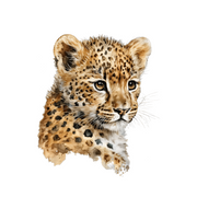 Watercolour Leopard Wall Stickers