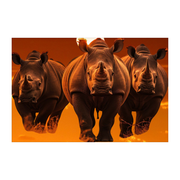 Rhino Sunset Placemats