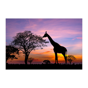 Giraffe Sunset Placemats