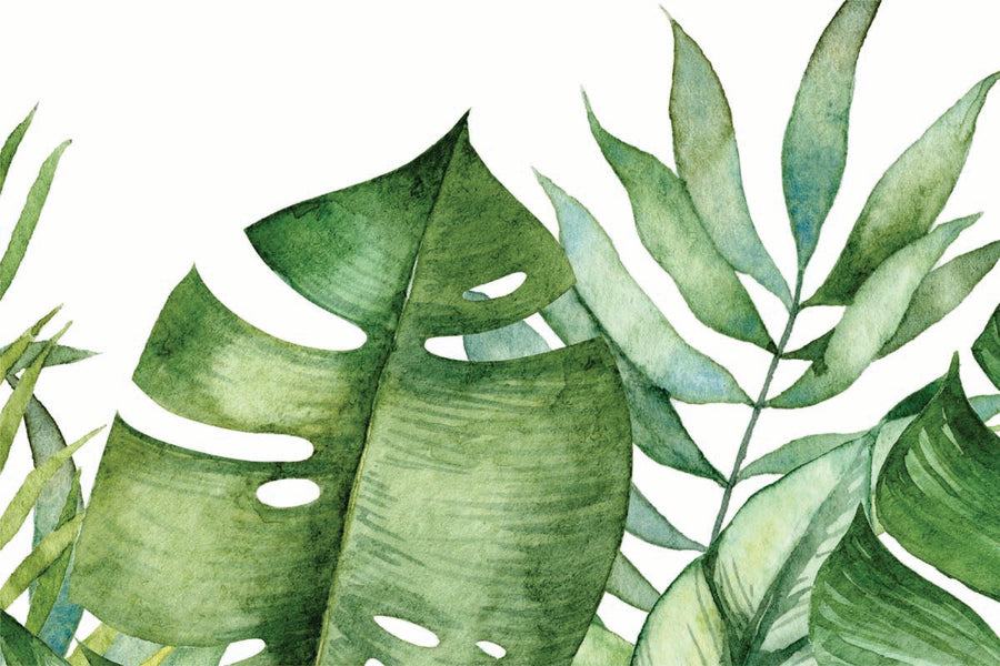 Monstera Leaves Placemats