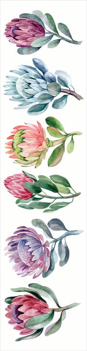 Singular Protea Runner