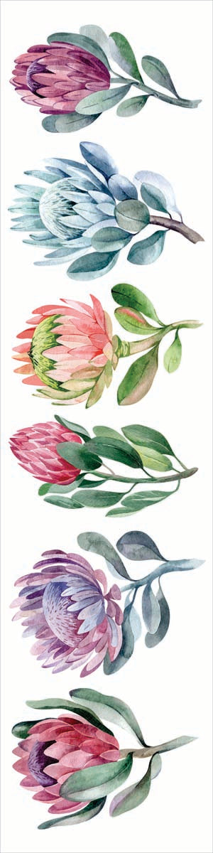 Singular Protea Runner