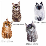 Kittens Wall Stickers