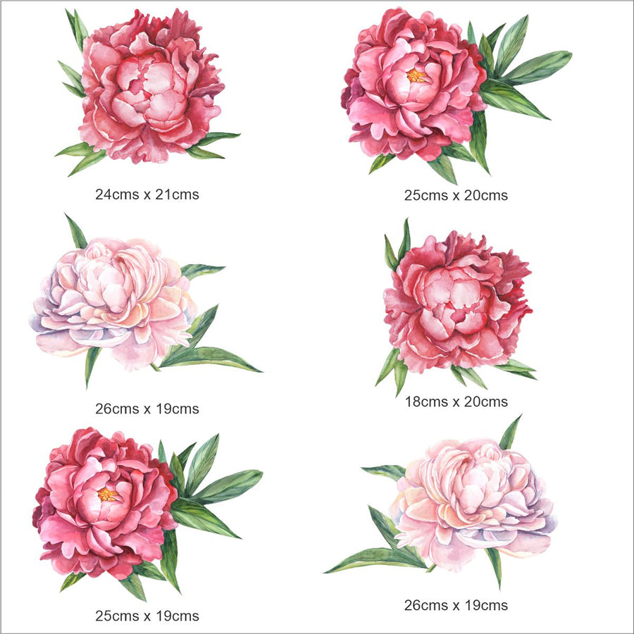 Peonies Wall Stickers