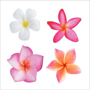 Tropical Flower Wall Sticlers