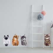 Kittens Wall Stickers