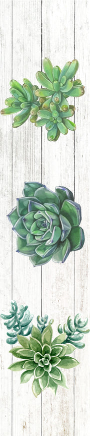 Succulents Runner