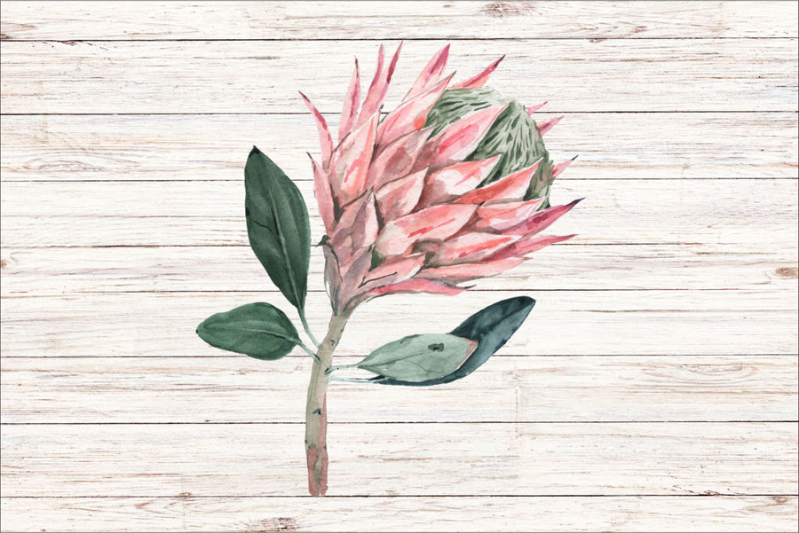 Whitewash Wood Proteas Placemats