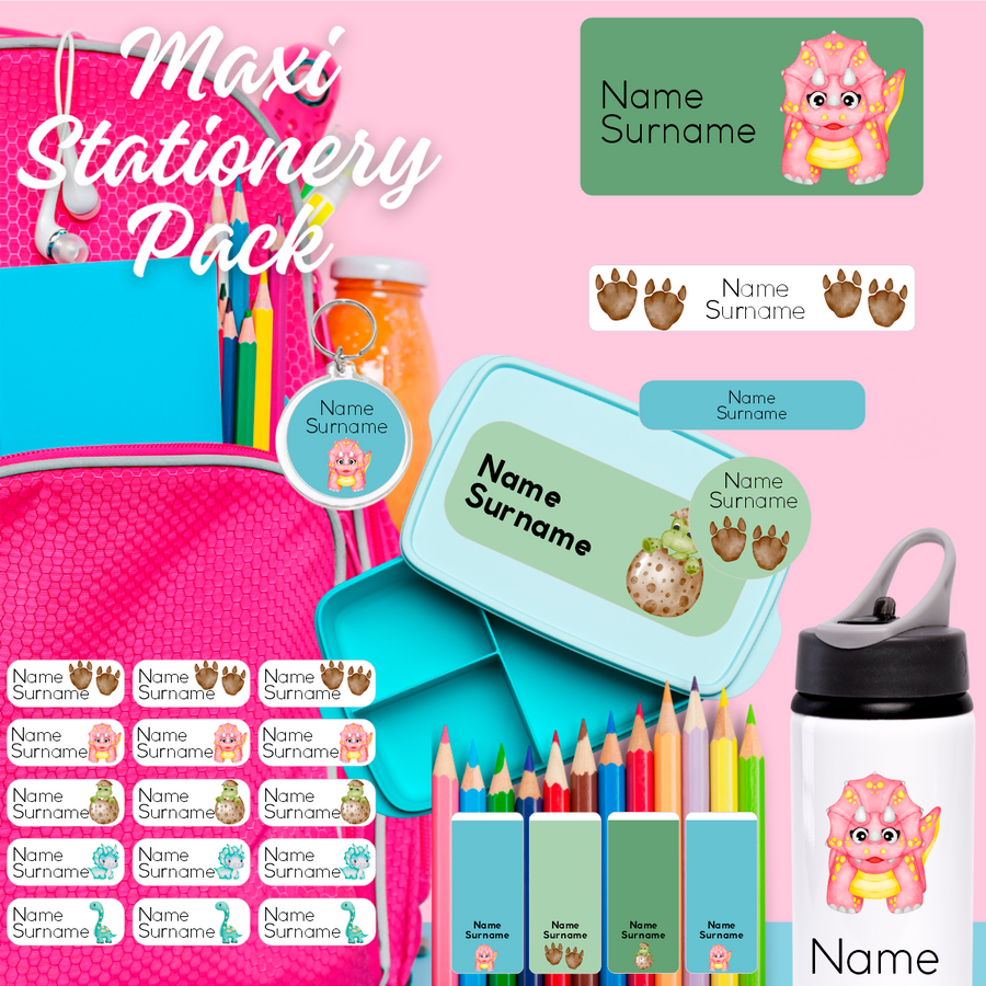Baby Dino Stationery Label Maxi Combo