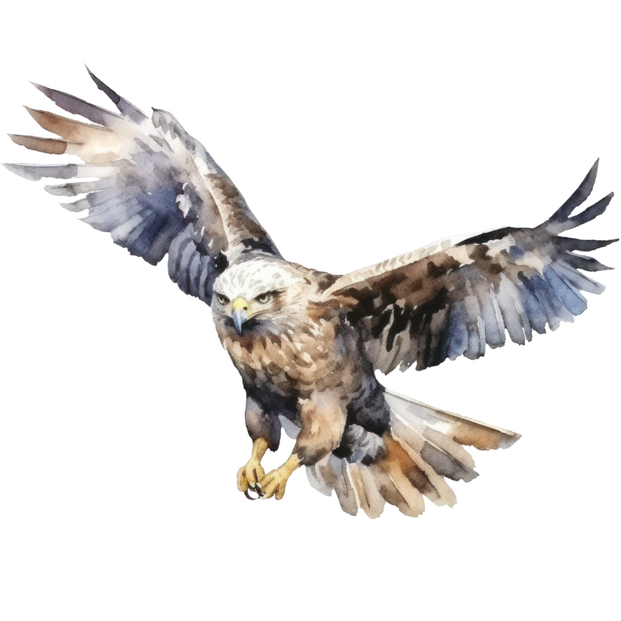 Watercolour Eagle Wall Stickers