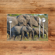 Pride of Elephants Placemats
