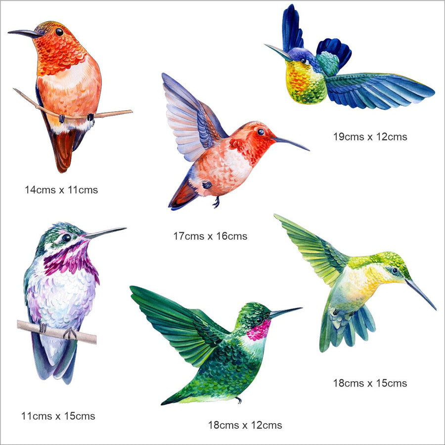 Tropical Bird Wall Stickers