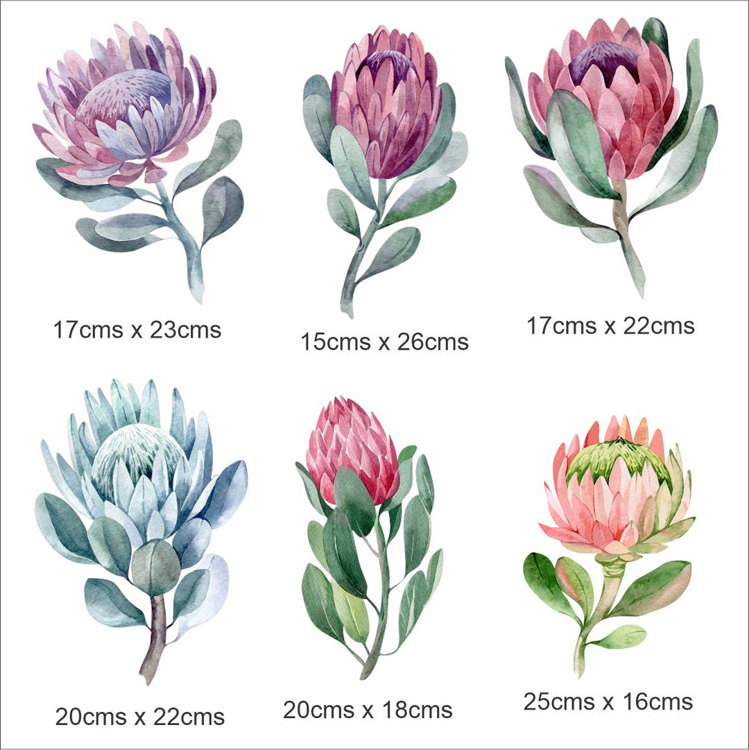 Protea Wall Stickers – Coral Designs